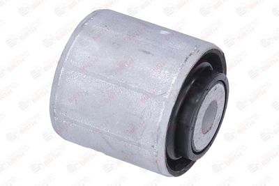 RULMENT DIFERENTIAL BIRTH 20001 11