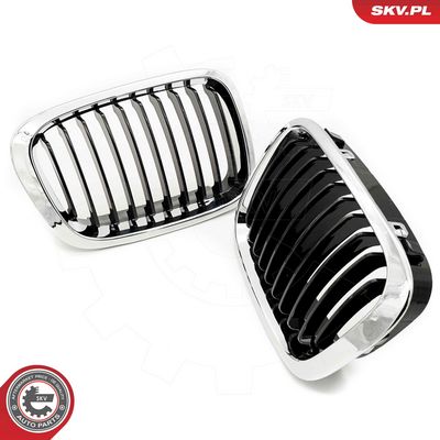 GRILA RADIATOR ESEN SKV 66SKV064 1