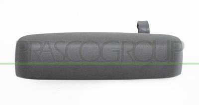 Ручка двери PRASCO FT3508001 для FIAT IDEA