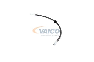 FURTUN FRANA VAICO V201909 20