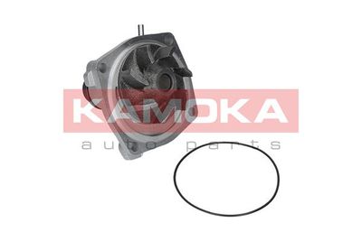 Water Pump, engine cooling T0006