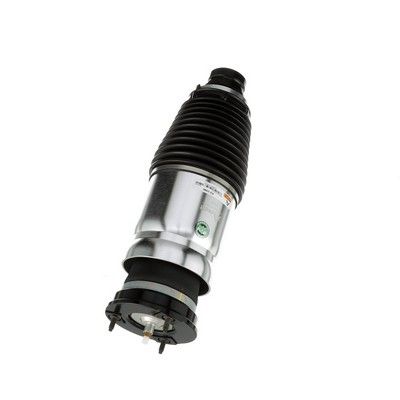 LUFTFEDERBEIN Arnott AS3380 71