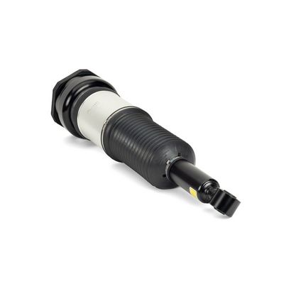 LUFTFEDERBEIN Arnott AS3074 1