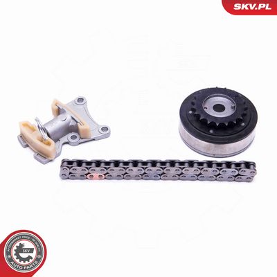 CHIT LANT DE DISTRIBUTIE ESEN SKV 21SKV115 1