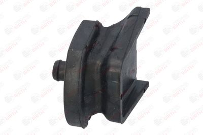 SUPORT MOTOR BIRTH 52601 5