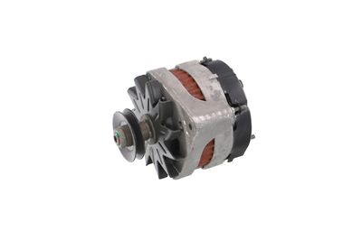 GENERATOR / ALTERNATOR REMANTE 011003000079R 12