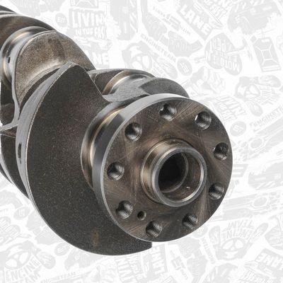 ARBORE COTIT ET ENGINETEAM HK0218 3