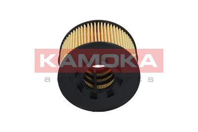 Oil Filter F103001