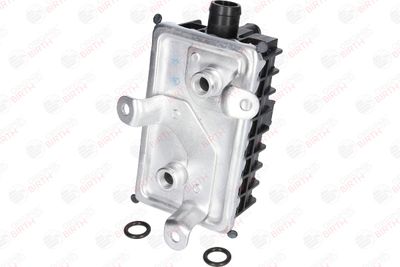 RADIATOR ULEI ULEI MOTOR BIRTH 80297 2