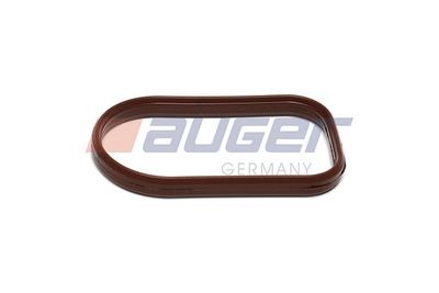 Dichtung, Ansaugkruemmer