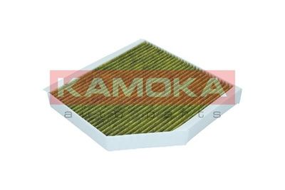 Filter, cabin air 6080066