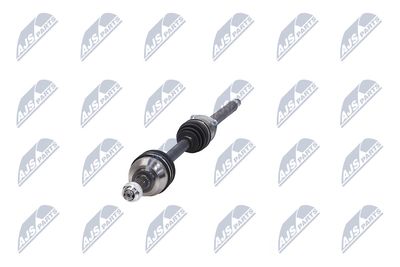 PLANETARA NTY NPWFT045 16