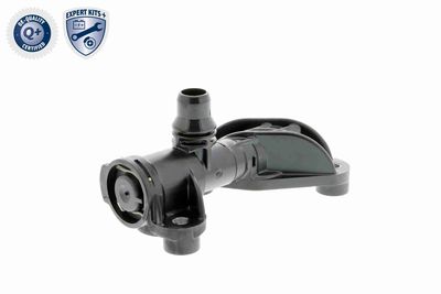 TERMOSTAT RACIRE ULEI VEMO V20991283 8