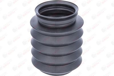 CAPAC PROTECTIE/BURDUF AMORTIZOR BIRTH 56171 4