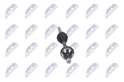 PLANETARA NTY NPWPE081 15