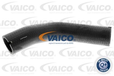 Трубка нагнетаемого воздуха VAICO V24-0733 для ALFA ROMEO MITO