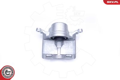 Brake Caliper 42SKV202