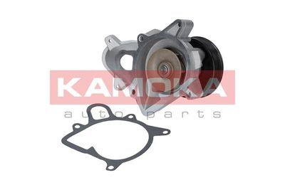 Water Pump, engine cooling T0053