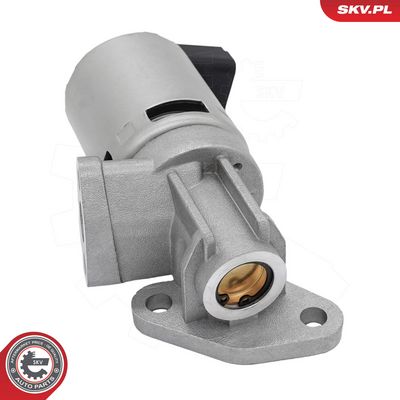 AGR - Ventil ESEN SKV 14SKV348