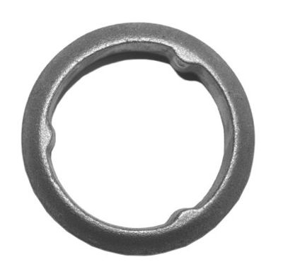 DICHTRING ABGASROHR