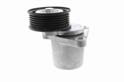 INTINZATOR CUREA CUREA DISTRIBUTIE VAICO V250445 7