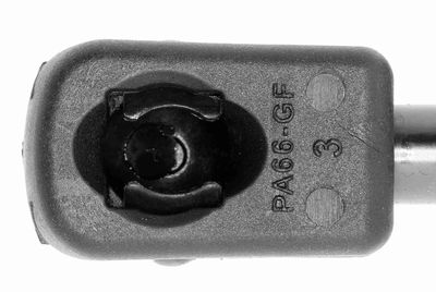 GASFEDER KOFFER-/LADERAUM VAICO V240499 1