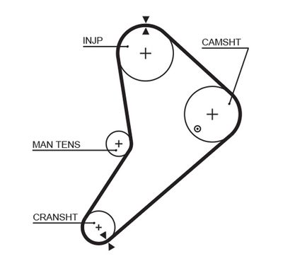 Timing Belt GATES 5021