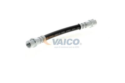 FURTUN FRANA VAICO V104114 44