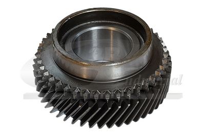 ROATA DINTATA ARBORE INTRARE CUTIE