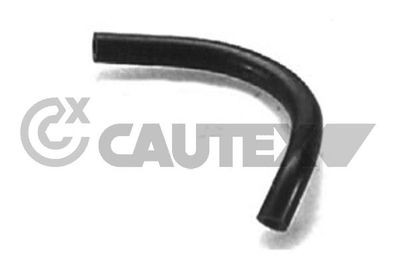 CAUTEX Buis, carburateur (085003)