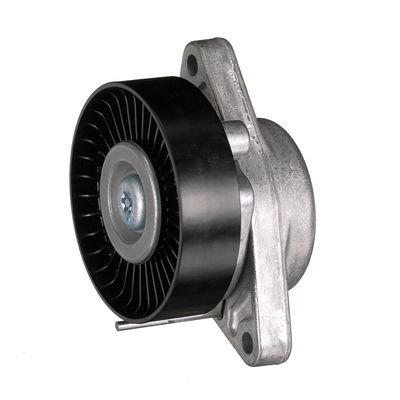 INTINZATOR CUREA CUREA DISTRIBUTIE GATES T38174 31