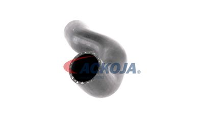 FURTUN EAR SUPRAALIMENTARE ACKOJA A380307 22
