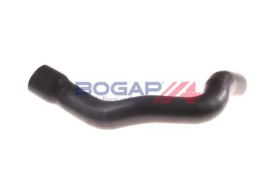 FURTUN EAR SUPRAALIMENTARE BOGAP C1711142 2