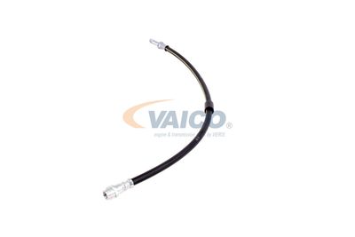 FURTUN FRANA VAICO V300547 24