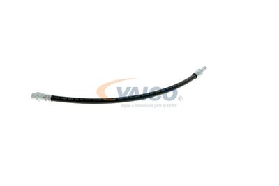 FURTUN FRANA VAICO V309931 32