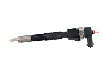 INJECTOR REMANTE 002003001674R 11