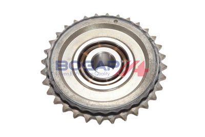 ROATA DINTATA ARBORE COTIT