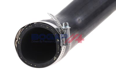 FURTUN EAR SUPRAALIMENTARE BOGAP A1711321 5