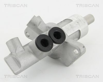 TRISCAN 8130 11132 Ремкомплект главного тормозного цилиндра  для BMW 1 (Бмв 1)