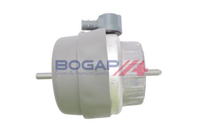 BOGAP Variklio montavimas