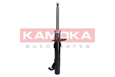 Shock Absorber 2000260