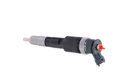 INJECTOR REMANTE 002003000004R 17