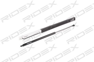 RIDEX 219G0294 Амортизатор багажника и капота для VW CORRADO (53I) 2.0 i