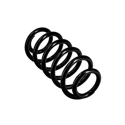 ARC SPIRAL EIBACH R10137 23