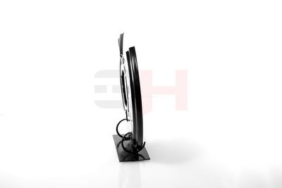 PROTECTIE STROPIRE DISC FRANA GH GH481586H 19
