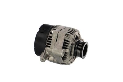 GENERATOR / ALTERNATOR REMANTE 011003000220R 49