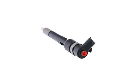 INJECTOR REMANTE 002003001717R 22