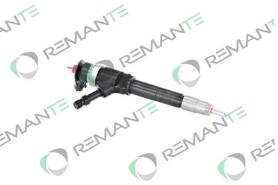 INJECTOR REMANTE 002003001319R 3