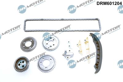 Timing Chain Kit DRM601204