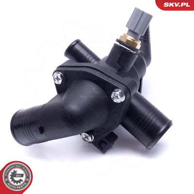 Termostatas, aušinimo skystis